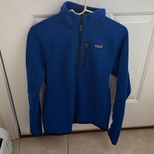 Patagonia Royal Blue Quarter-Zip Fleece